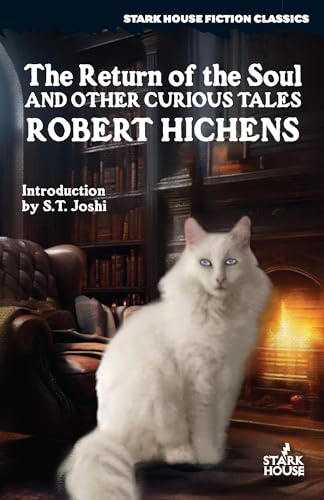 The Return of the Soul & Other Curious Tales von Stark House Press