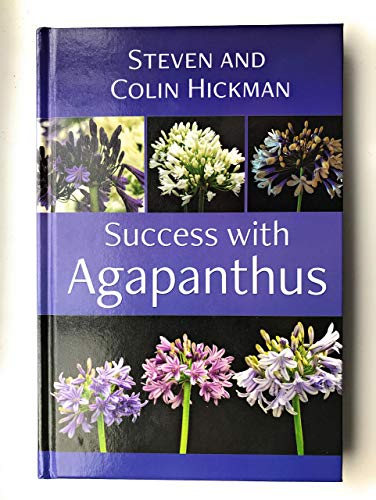 Success With Agapanthus