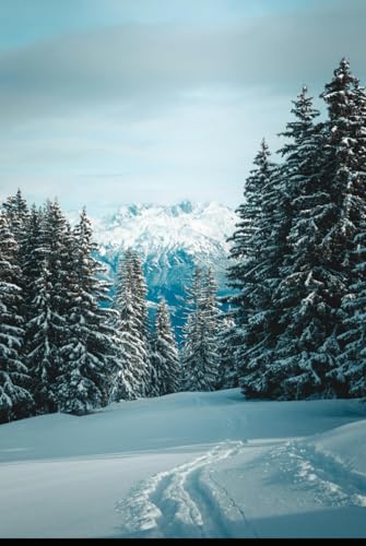 6 Monthly Dividend Stocks That Will Pay Your Holiday (Every Year!) von Independently published