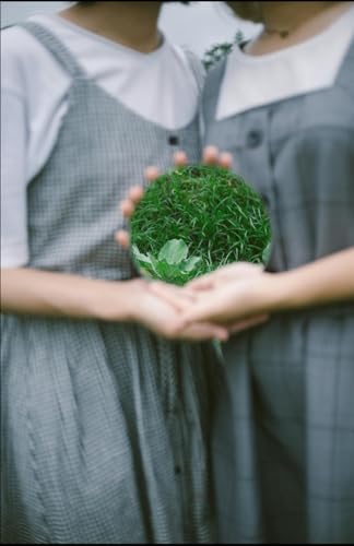 The DRIP Effect: How to Turn Dividends into a Passive Income Powerhouse The DRIP Effect: How to Turn Dividends into a Passive Income Powerhouse von Independently published