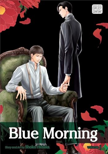 Blue Morning Volume 1 (BLUE MORNING GN, Band 1) von Sublime
