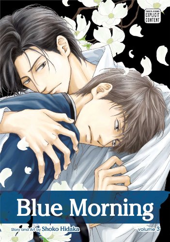 Blue Morning Volume 3 (BLUE MORNING GN, Band 3)