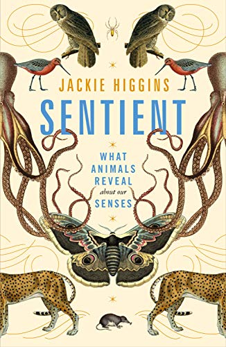 Sentient: What Animals Reveal About Our Senses Sentient: What Animals Reveal About Our Senses von Picador