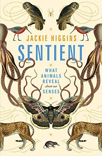 Sentient: What Animals Reveal About Our Senses von Picador