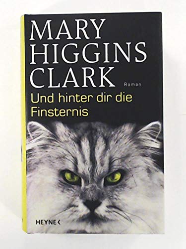 Und hinter dir die Finsternis: Roman Und hinter dir die Finsternis: Roman