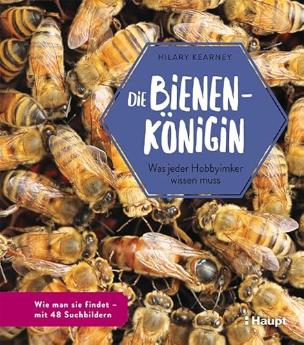 Die Bienenkönigin: Was jeder Hobbyimker wissen muss