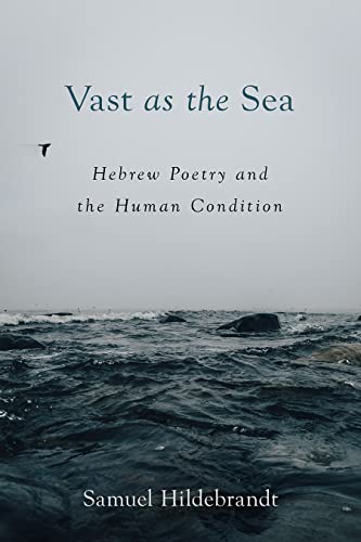 Vast As the Sea: Hebrew Poetry and the Human Condition von Fortress Press,U.S.