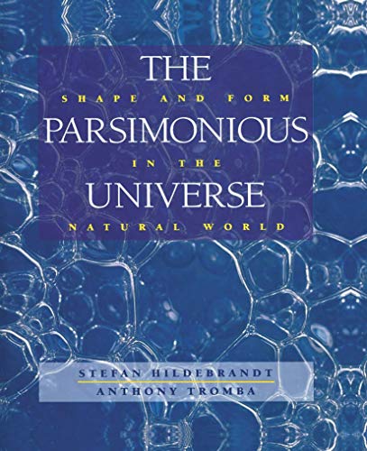 The Parsimonious Universe: Shape and Form in the Natural World von Springer