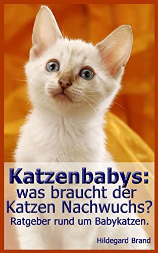 Katzenbabys: was braucht der Katzen Nachwuchs?: Ratgeber rund um Babykatzen.