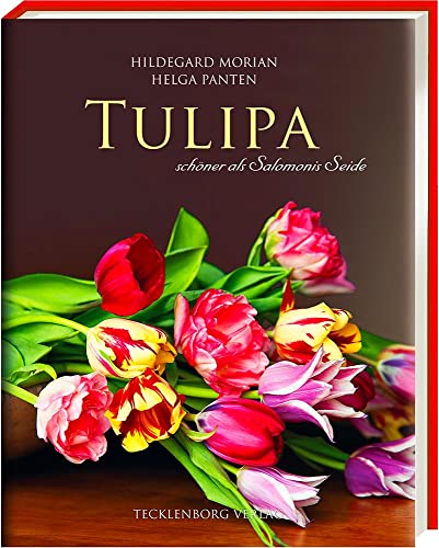 Tulipa: schöner als Salomonis Seide: schöner als Salomonies Seide