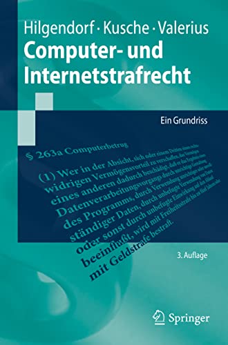 Computer- und Internetstrafrecht: Ein Grundriss (Springer-Lehrbuch)