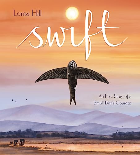 Swift: An Epic Story of a Small Bird's Courage von Wren & Rook