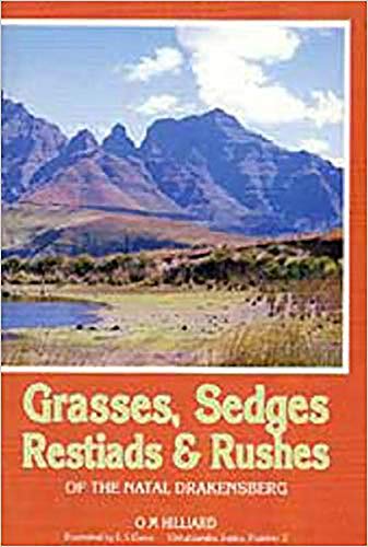 Grasses, Sedges, Restiads and Rushes of the Natal Drakensberg: Rushes and Restiads of Natal Drakensberg (Ukhahlamba) von University of Kwazulu Natal Press