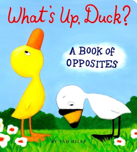 What's Up, Duck?: A Book of Opposites (Duck & Goose)