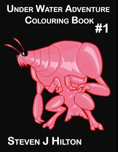 Under Water Adventure - Colouring Book von Independently published