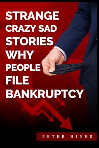 Strange Crazy Sad Stories Why People File Bankruptcy von Excel Book Writing