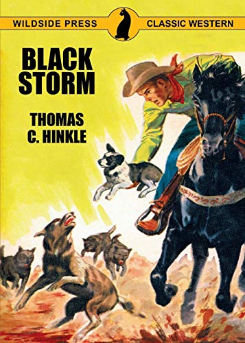 Black Storm von Wildside Press