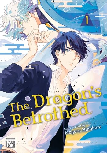 The Dragon's Betrothed, Vol. 1 (DRAGONS BETROTHED GN, Band 1) von Sublime