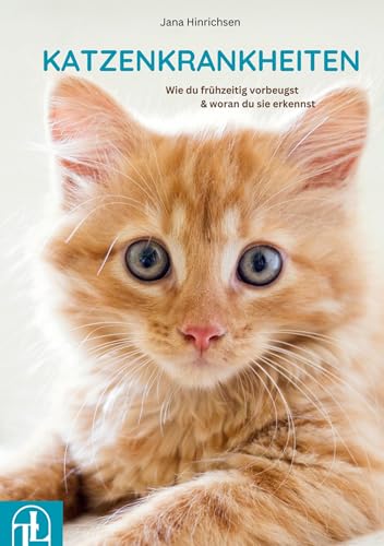 Katzenkrankheiten: Wie du frühzeitig vorbeugst & woran du sie erkennst