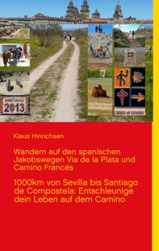 Wandern auf den spanischen Jakobswegen Via de la Plata und Camino Frances: 1000km von Sevilla bis Santiago de Compostela: Entschleunige dein Leben auf dem Camino von Books on Demand