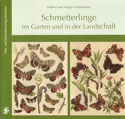 Schmetterlinge im Garten und in der Landschaft: 914 Arten mit über 1700 deutschen Namen und Doppelnamen von Obst- und Gartenbauvlg.