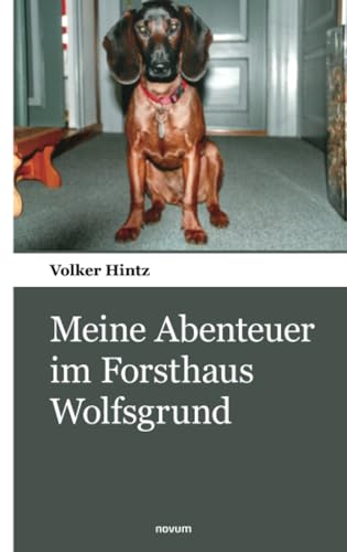 Meine Abenteuer im Forsthaus Wolfsgrund von novum pocket