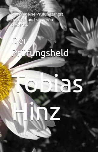 Der Prüfungsheld: Wie du deine Prüfungsangst besiegst und souverän bestehst
