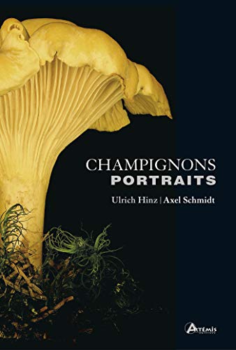 Champignons. Portraits von ARTEMIS