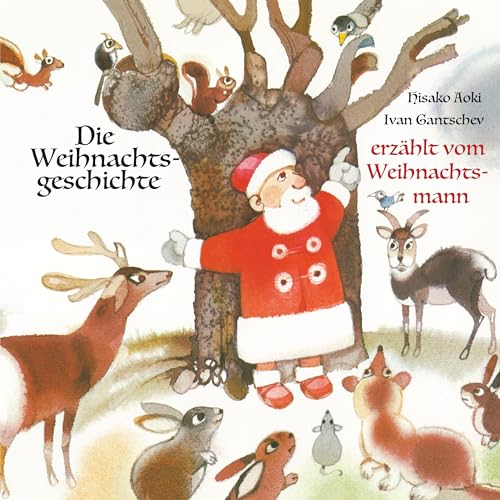 Die Weihnachtsgeschichte: erzählt vom Weihnachtsmann