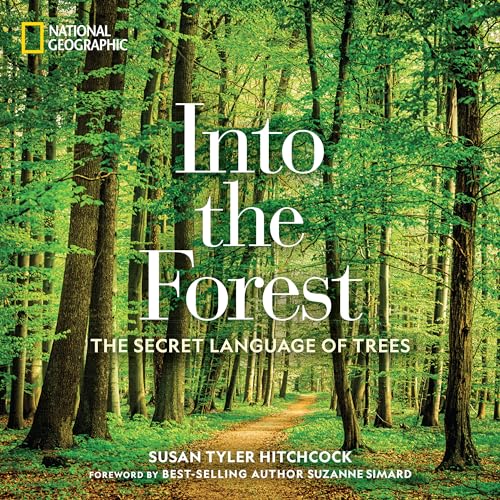 Into the Forest: The Secret Language of Trees