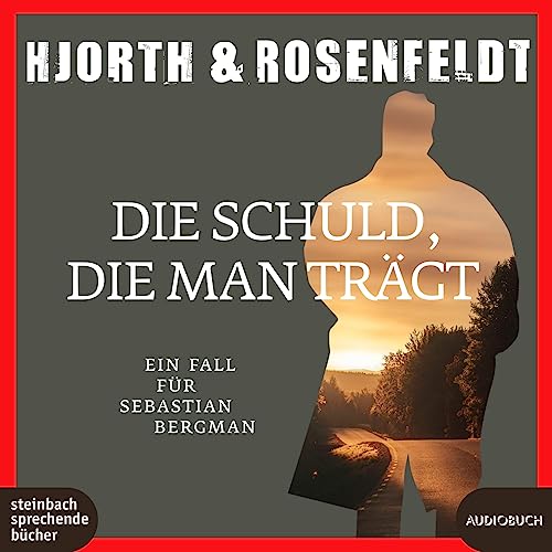Die Schuld, die man trägt: Ein Fall für Sebastian Bergmann (Die Fälle des Sebastian Bergman)