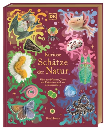 Kuriose Schätze der Natur: Über 100 Pflanzen, Tiere und Phänomene und was sie uns erzählen. Hochwertig ausgestattet mit Goldfolie und Goldschnitt. Für Kinder ab 8 Jahren Kuriose Schätze der Natur: Über 100 Pflanzen, Tiere und Phänomene und was sie uns erzählen. Hochwertig ausgestattet mit Goldfolie und Goldschnitt. Für Kinder ab 8 Jahren