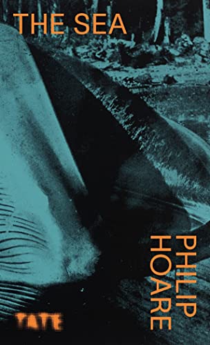Look Again: The Sea von Tate Publishing