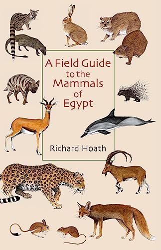 A Field Guide to the Mammals of Egypt von Bloomsbury