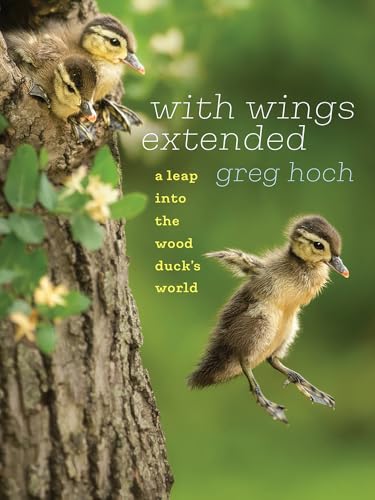 With Wings Extended: A Leap Into the Wood Duck's World (Bur Oak Book) von University of Iowa Press
