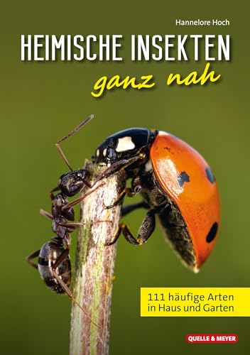 Heimische Insekten ganz nah: 111 häufige Arten in Haus und Garten von Quelle & Meyer