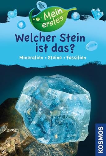 Mein erstes Welcher Stein ist das?: Mineralien, Gesteine, Fossilien