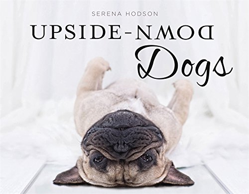 Upside-Down Dogs: Serena Hodson