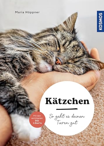 Kätzchen: So geht es deinen Tieren gut – auswählen – halten - beschäftigen – mit den wichtigsten Dos & Don’ts