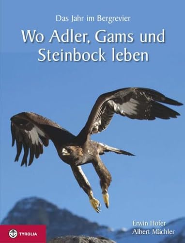 Wo Adler, Gams und Steinbock leben: Das Jahr im Bergrevier. Mit spannenden Jagdgeschichten und brilllanten Bilder von Albert Mächler