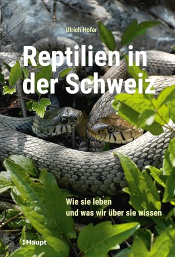 Reptilien in der Schweiz: Wie sie leben und was wir über sie wissen von Haupt Verlag AG