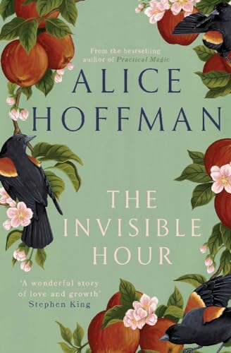 The Invisible Hour von SCRIBNER UK