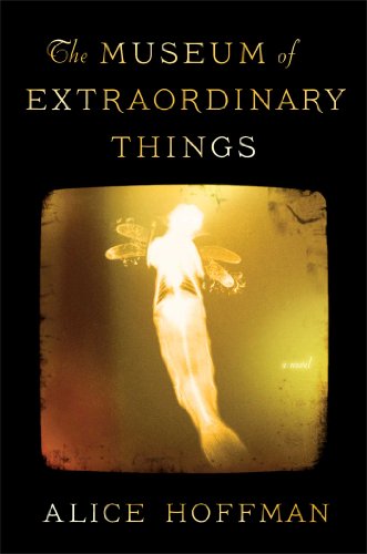 The Museum of Extraordinary Things: A Novel