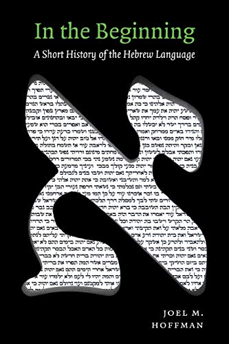 In the Beginning: A Short History of the Hebrew Language von New York University Press