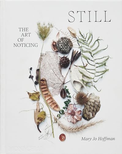 STILL: The Art of Noticing von The Monacelli Press