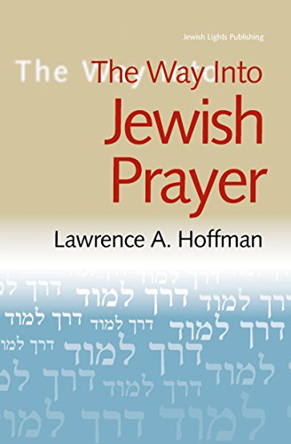 Way Into Jewish Prayer von Jewish Lights Publishing
