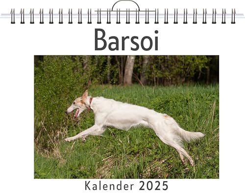 Barsoi - (Wandkalender 2025, Kalender DIN A4 quer, Monatskalender im Querformat mit Kalendarium, das perfekte Geschenk) von FlipFlop