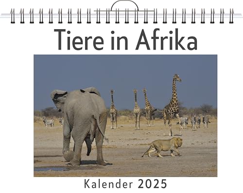 Tiere in Afrika - (Wandkalender 2025, Kalender DIN A4 quer, Monatskalender im Querformat mit Kalendarium, das perfekte Geschenk) von FlipFlop
