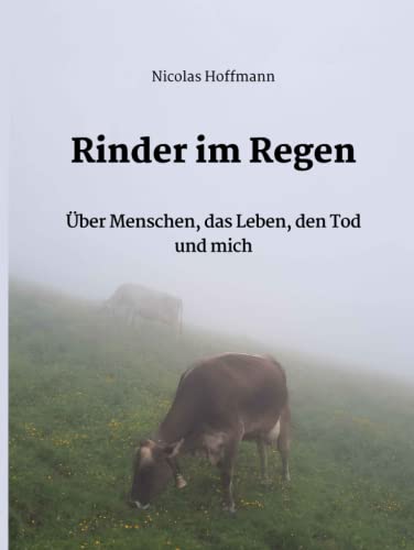 Rinder im Regen: Über Menschen, das Leben, den Tod und mich