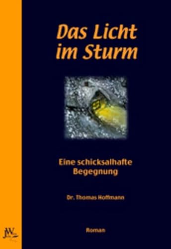 Das Licht im Sturm: Eine schicksalhafte Begegnung: Eine schicksalhafte Begegnung. Roman